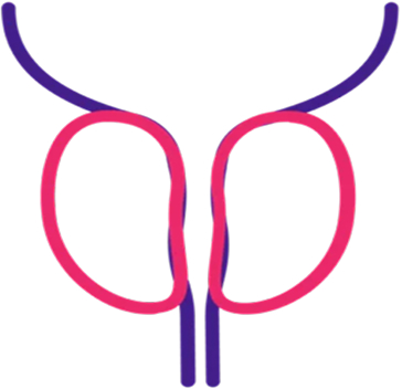 Prostate Artery Embolization icon